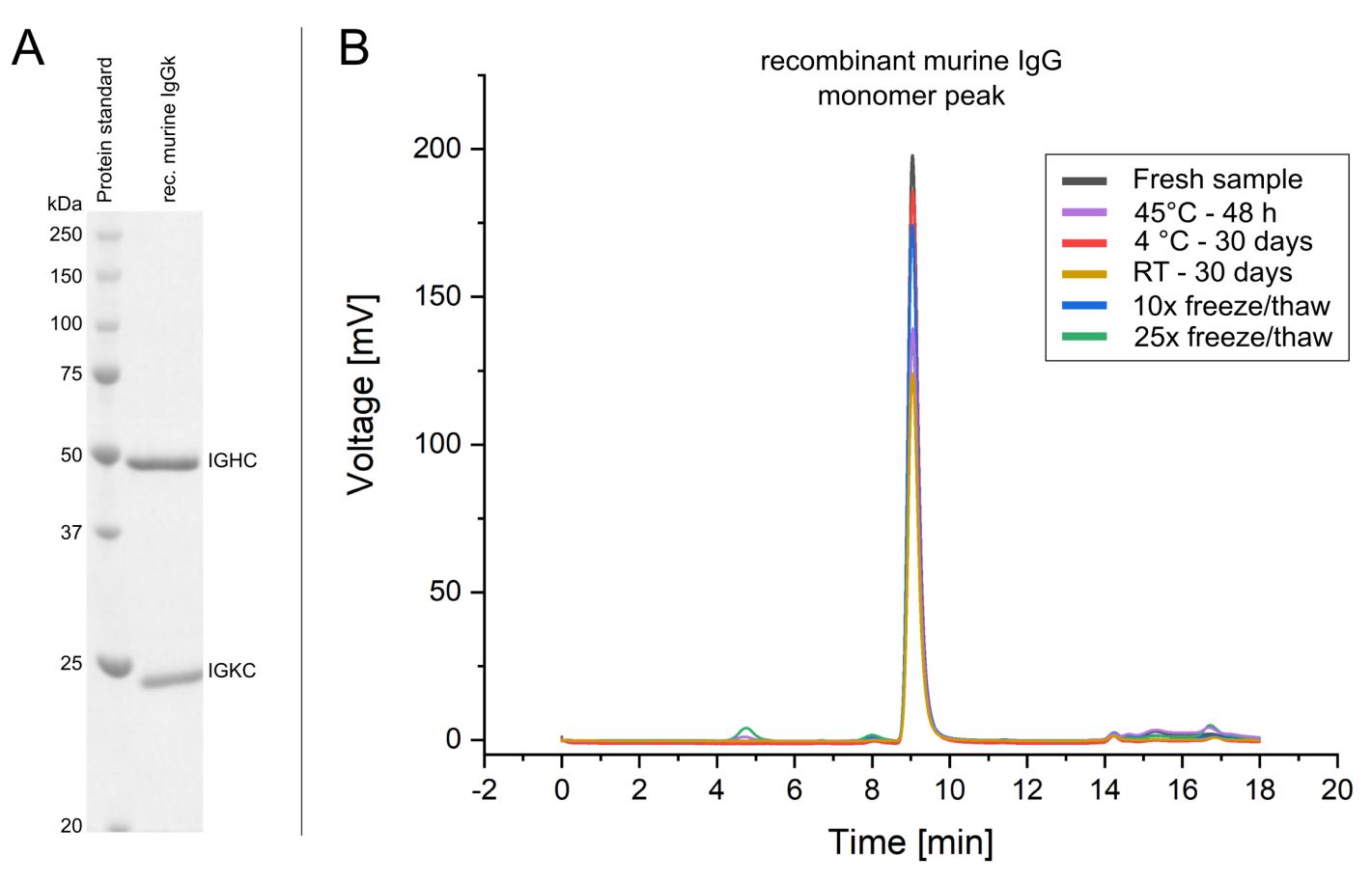 MULTICLONAL Purity