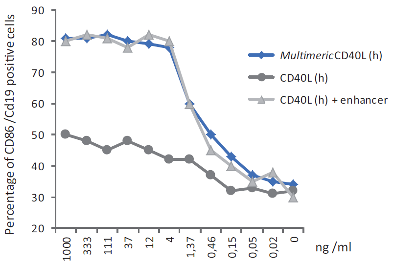 MultimericCD40L