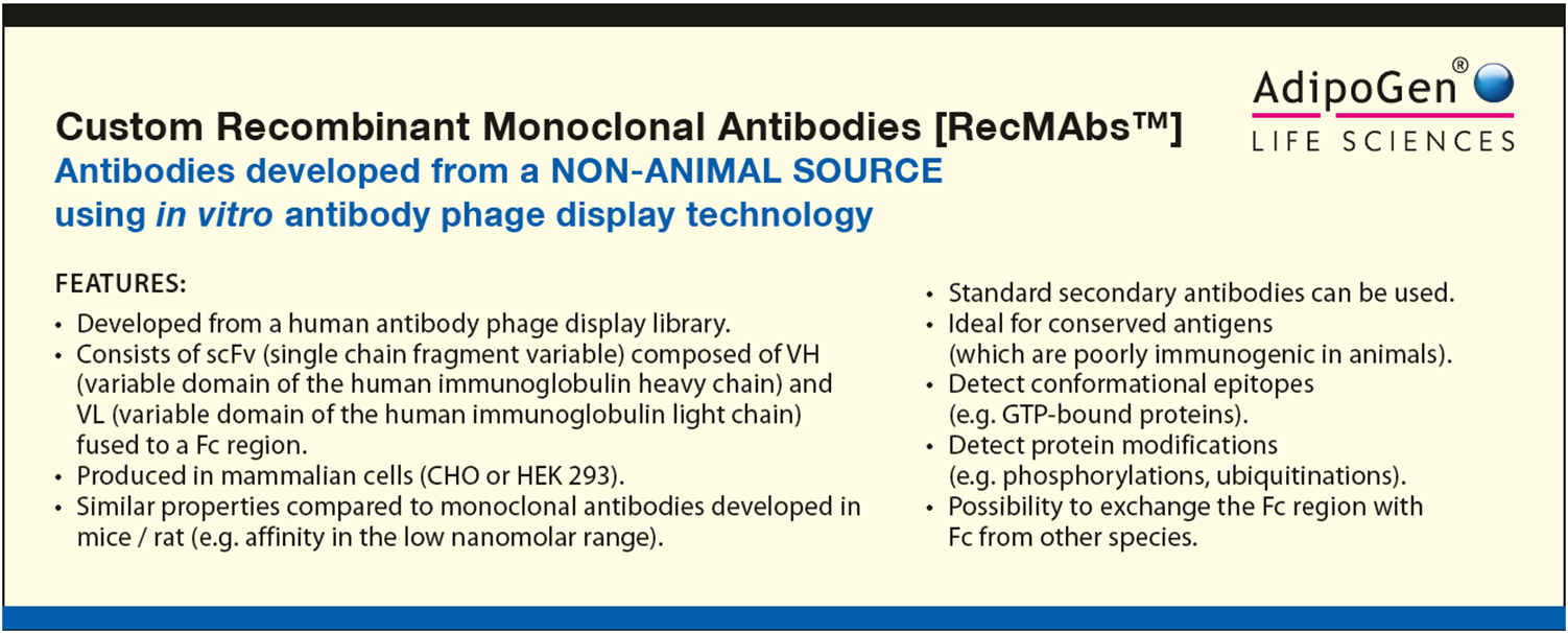 Custom Recombinant Antibodies