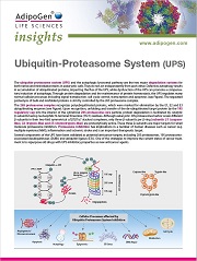 Proteasome Flyer