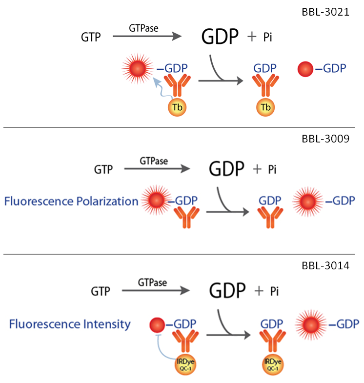 GDP Assays