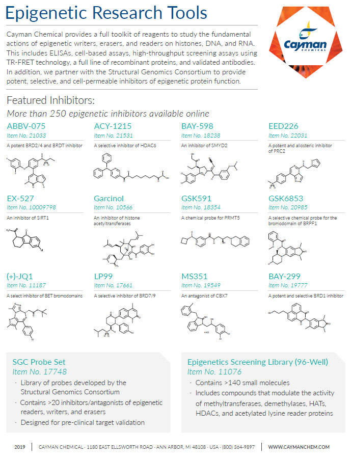 Epigenetic Research Tools