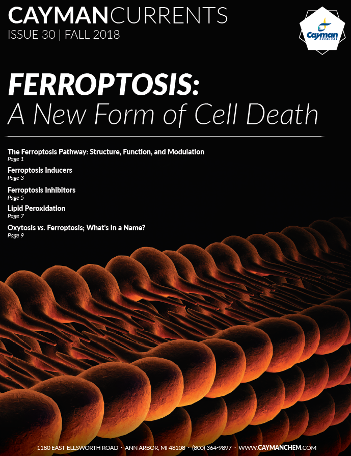 Ferroptosis