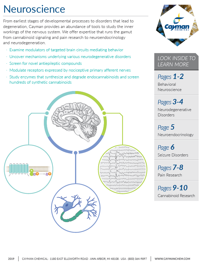 Neuroscience