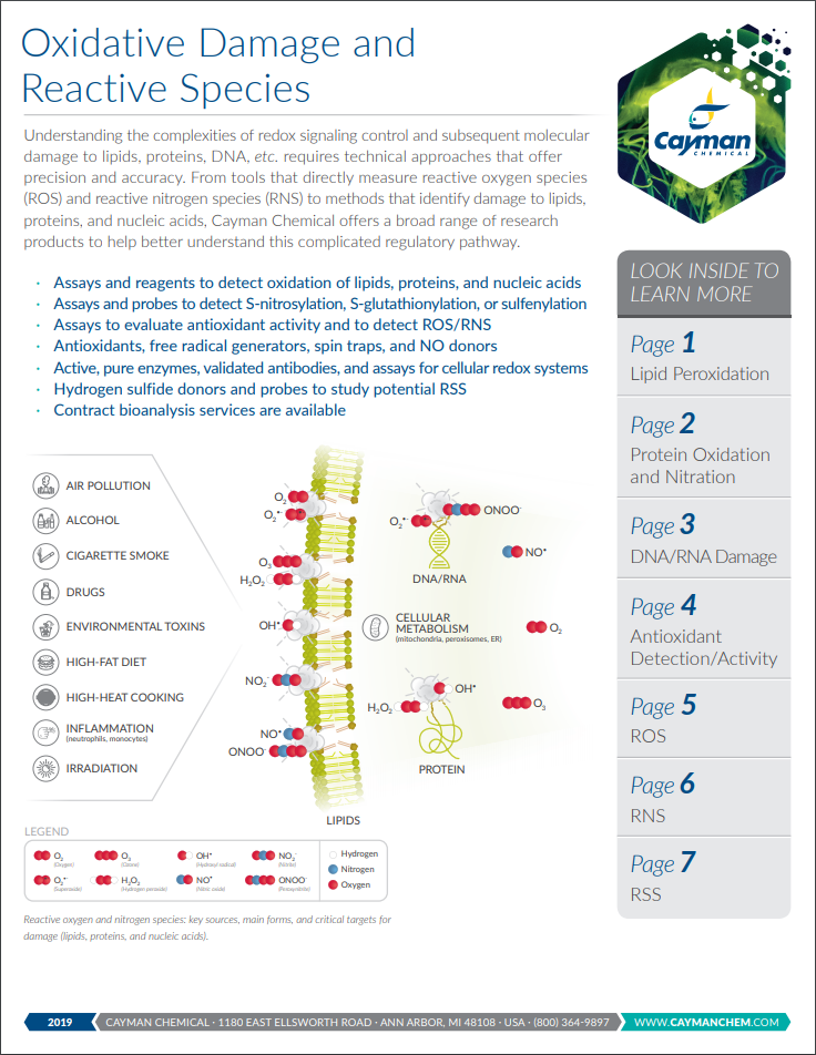 Oxidative Stress